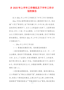 乡2026年上半年工作情况及下半年工作计划的报告