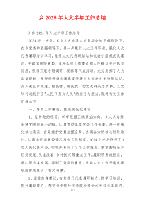 乡2026年人大半年工作总结