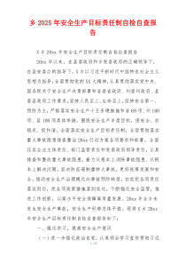 乡2026年安全生产目标责任制自检自查报告