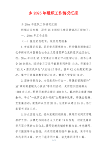 乡2026年组织工作情况汇报