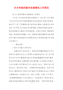 乡乡村组织振兴实施情况工作报告