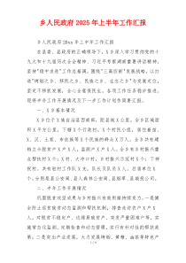 乡人民政府2026年上半年工作汇报