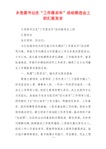 乡党委书记在“工作落实年”活动推进会上的汇报发言