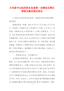 乡党委书记组织落实县委第一巡察组巡察反馈意见整改情况报告