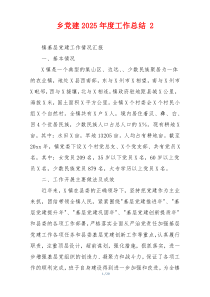 乡党建2026年度工作总结 2