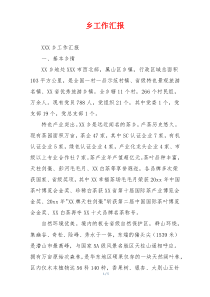 乡工作汇报