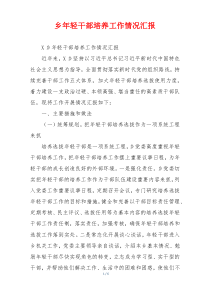 乡年轻干部培养工作情况汇报