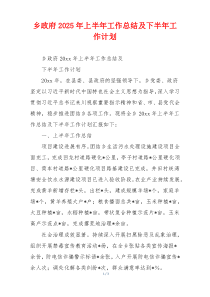 乡政府2026年上半年工作总结及下半年工作计划