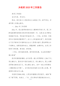 乡政府2026年工作报告