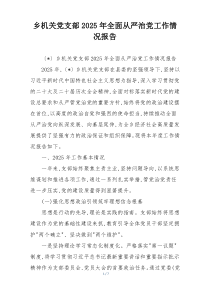 乡机关党支部2026年全面从严治党工作情况报告