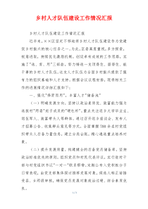 乡村人才队伍建设工作情况汇报