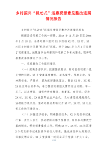 乡村振兴“机动式”巡察反馈意见整改进展情况报告