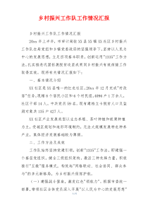 乡村振兴工作队工作情况汇报