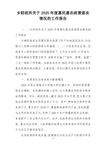 乡财政所关于2026年度惠民惠农政策落实情况的工作报告