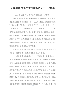 乡镇2026年上半年工作总结及下一步打算