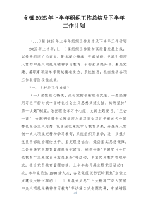 乡镇2026年上半年组织工作总结及下半年工作计划