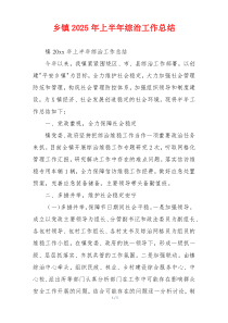 乡镇2026年上半年综治工作总结