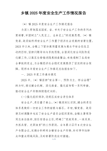 乡镇2026年度安全生产工作情况报告