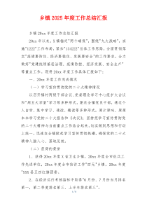 乡镇2026年度工作总结汇报