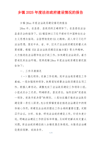 乡镇2026年度法治政府建设情况的报告
