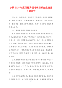 乡镇2026年度目标责任考核指标完成情况自查报告