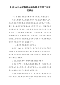 乡镇2026年度秸秆禁烧与综合利用工作情况报告