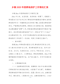 乡镇2026年度耕地保护工作情况汇报