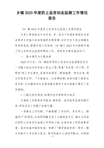 乡镇2026年度防止返贫动态监测工作情况报告