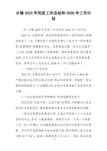 乡镇2026年民政工作总结和2026年工作计划