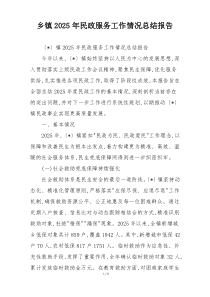 乡镇2026年民政服务工作情况总结报告