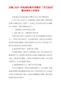 乡镇2026年违规吃喝专项整治“百日活动”整改情况工作报告