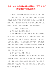 乡镇2026年违规吃喝专项整治“百日活动”落实情况工作总结报告