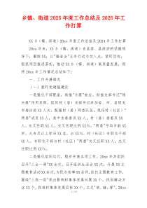乡镇、街道2026年度工作总结及2026年工作打算