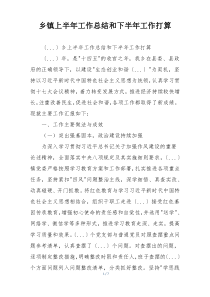 乡镇上半年工作总结和下半年工作打算