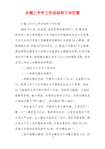 乡镇上半年工作总结和下步打算