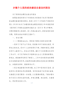 乡镇个人党的政治建设自查自纠报告