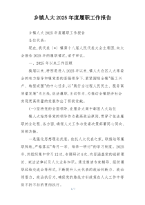 乡镇人大2026年度履职工作报告