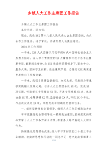 乡镇人大工作主席团工作报告