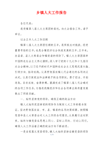 乡镇人大工作报告