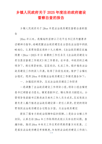 乡镇人民政府关于2026年度法治政府建设督察自查的报告