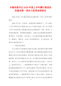 乡镇党委书记2026年度上半年履行推进法治建设第一责任人职责述职报告