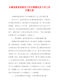 乡镇党委宣传委员工作开展情况及下步工作打算汇报