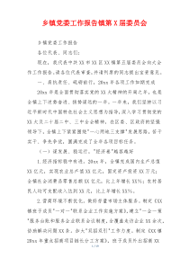 乡镇党委工作报告镇第X届委员会