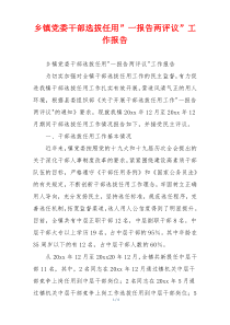 乡镇党委干部选拔任用”一报告两评议”工作报告