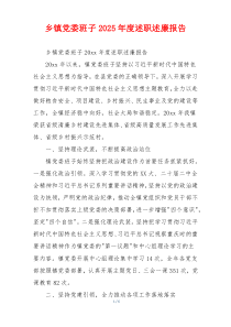 乡镇党委班子2026年度述职述廉报告