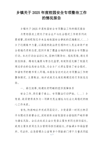 乡镇关于2026年度校园安全专项整治工作的情况报告