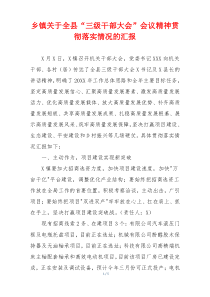 乡镇关于全县“三级干部大会”会议精神贯彻落实情况的汇报