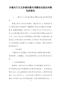 乡镇关于公文抄袭问题专项整治自查自纠情况的报告