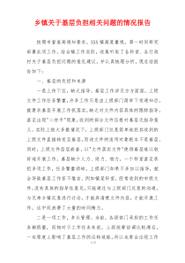 乡镇关于基层负担相关问题的情况报告