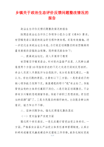 乡镇关于政治生态评价反馈问题整改情况的报告